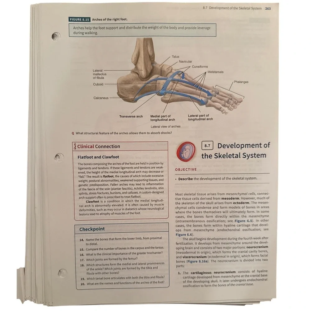 Anatomy Physiology Volume 1 Robert J. Amitrano,‎ Gerard J. Tortora BCC Textbook